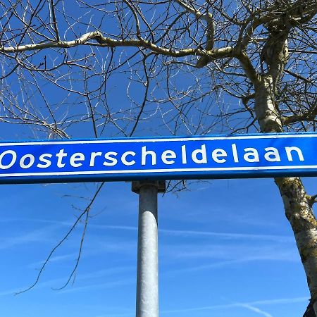 Vakantiehuis Met Luxe Tuin Dichtbij Het Strand Kamperland Extérieur photo