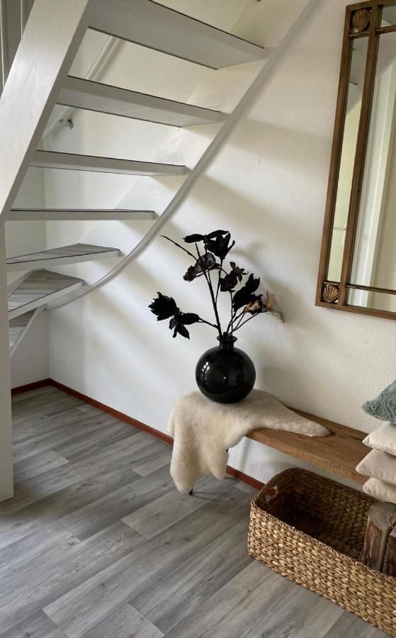Vakantiehuis Met Luxe Tuin Dichtbij Het Strand Kamperland Extérieur photo